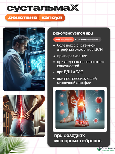 Сустальмакс: нейронные связи и здоровье вен