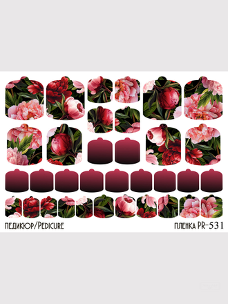 Пленки для педикюра 9,5*13,5 см PR-531