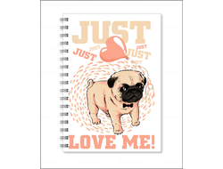 Тетрадь для влюбленных, на 14 февраля №2