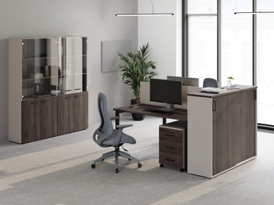 Офисная мебель Everprof EVO