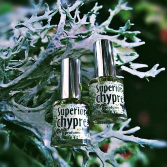 "Superior chypre" авторские духи шипровые унисекс