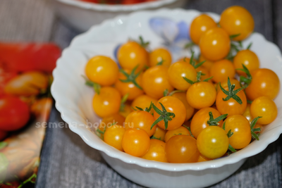 Томат Liliput Yellow (Желтый Лилипут), 10 шт