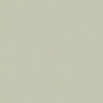 N861