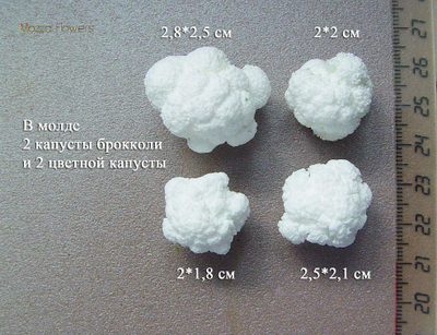 Силиконовый молд "Брокколи и цветная капуста"