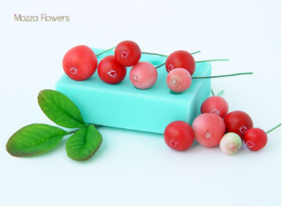 "Брусника" силиконовый молд