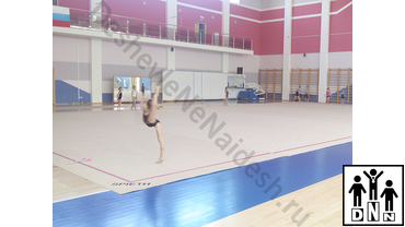 Гимнастический ковер