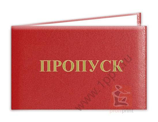 пропуск на стройку. фото пропуска красного. заполненный красный пропуск. заполненный красный пропуск. пропуск в школу красный.