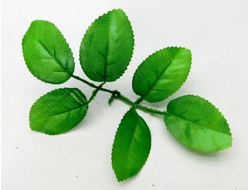 Лист розочки двойной светло-зеленый, длина листочка 5 см