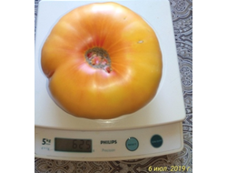 Томат Желтый камень (Yellow Stone)