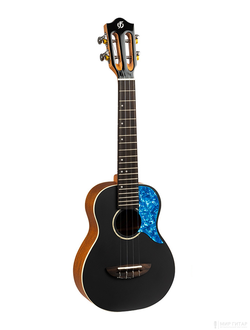 Flight IRIS Concert BK