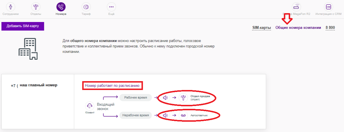 настройка общего номера компании мегафон ватс