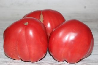 Redmont giant
