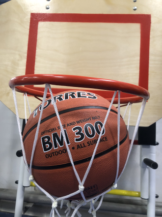Щит баскетбольный с корзиной