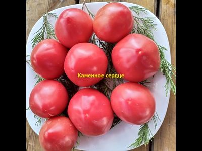 Томат Каменное сердце
