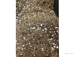 Грунт для ароидных 1л