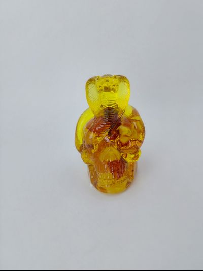 Череп со змеей