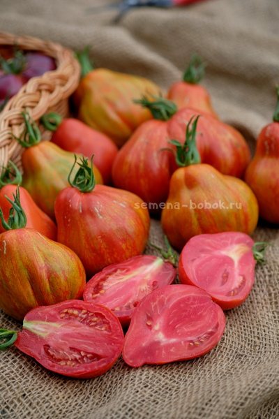 Томат Borsa di Montone (Баранья сумка), 10 шт.