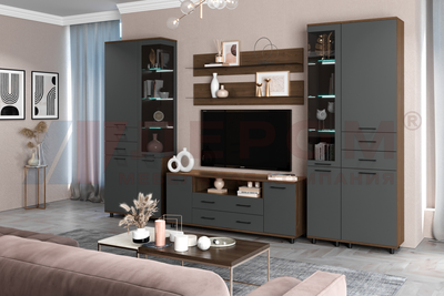 Композиция гостиной ГРЕЙС корпус Гикори Джексон Темный/фасад Антрацит Матовый