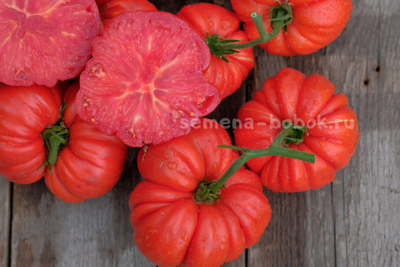 Томат Riccio Di Parma (Кудрявый из Пармы), 10 шт