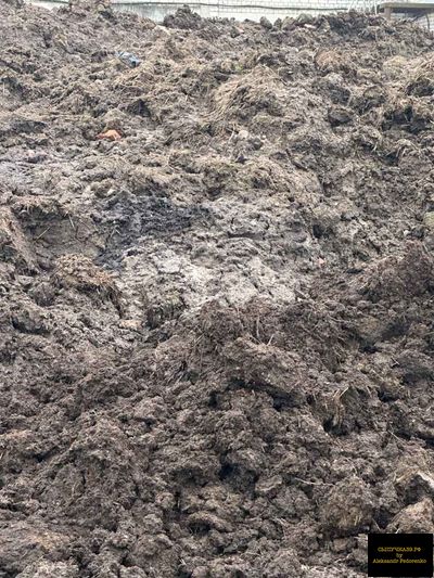 навоз в калининграде