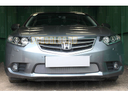 Защита радиатора Honda Accord VIII (рестайлинг) 2011-2013 chrome
