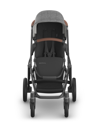 Коляска 2в1 UPPAbaby Vista V3 Greyson