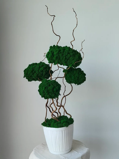 Живая эко-композиция 1002