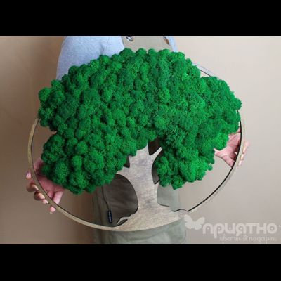 ЖИВАЯ ЭКО-КАРТИНА 1018