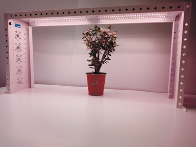 СКУ02-100-264-GR Fitomix Windowsill