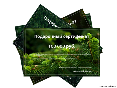 Подарочный сертификат на приобретение и посадку растений