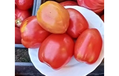 Томат Абурида