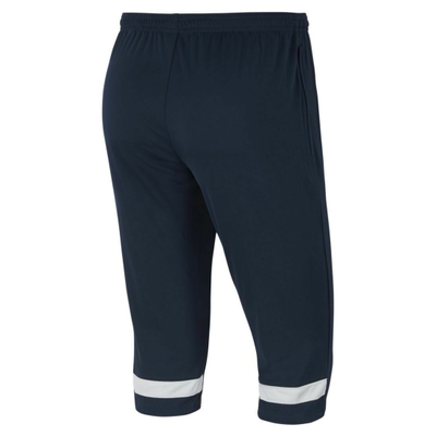 Бриджи Nike Academy 21 CW6125-451
