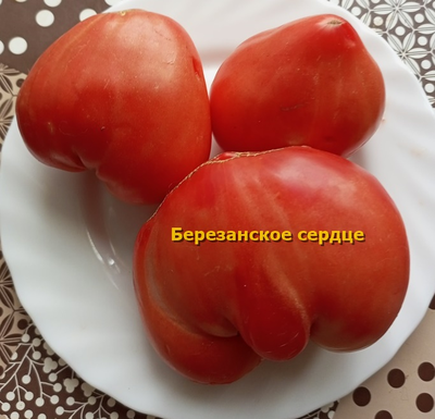 Томат Березанское сердце