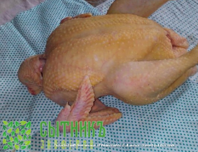 Фермерское куриное мясо купить от фермера с доставкой на дом | Ферма СытникЪ