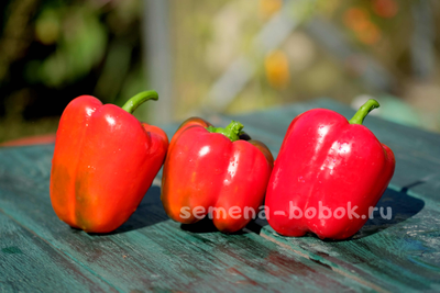 Перец сладкий Калифорнийское Чудо, 10 шт