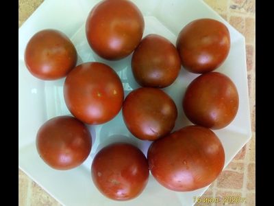 Томат Черная конфета (Black candy)