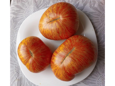 Томат Двойной восторг Дона (Don`s Double Delight), США