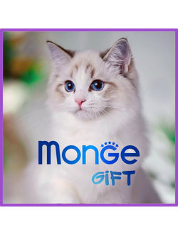 Monge Gift