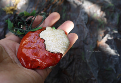 Комплект фэнтези-украшений "Яблочко Белоснежки" (парадное колье и крупные серьги)