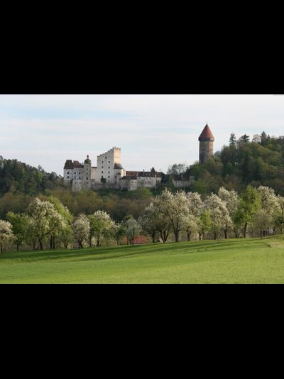 Купить греющую картину с фото замок во Франции