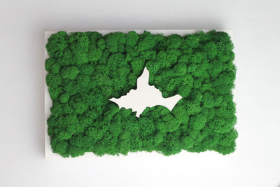 ЖИВАЯ ЭКО-КАРТИНА 1032