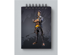 Блокнот Borderlands, Бордерленд №8