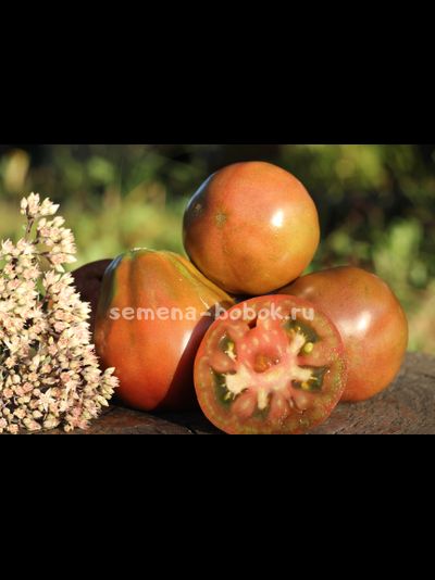 Томат Мармеладная лампочка (Marmeladnaia Lampochka), 10 шт.