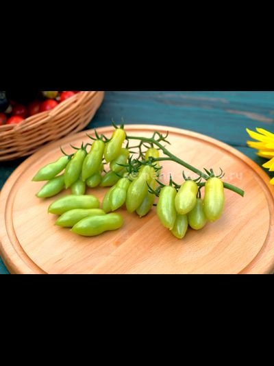 Томат Dancing green fingers (Танцующие Зеленые Пальцы), 10 шт