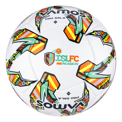 Vamos Sala Pro BV0924-PSL (№4 Футзальный мяч)