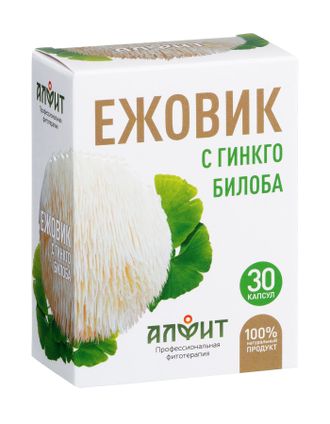 Ежовик с Гинкго билоба