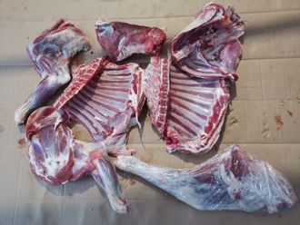 Мясо козы фермерское с доставкой на дом | ферма СытникЪ