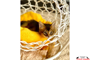 И ДРУГИЕ ФОТО