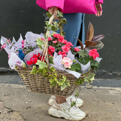 Цветов много не бывает