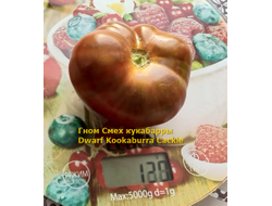 Томат Гном Смех Кукабарры (Dwarf Kookaburra Cackle)